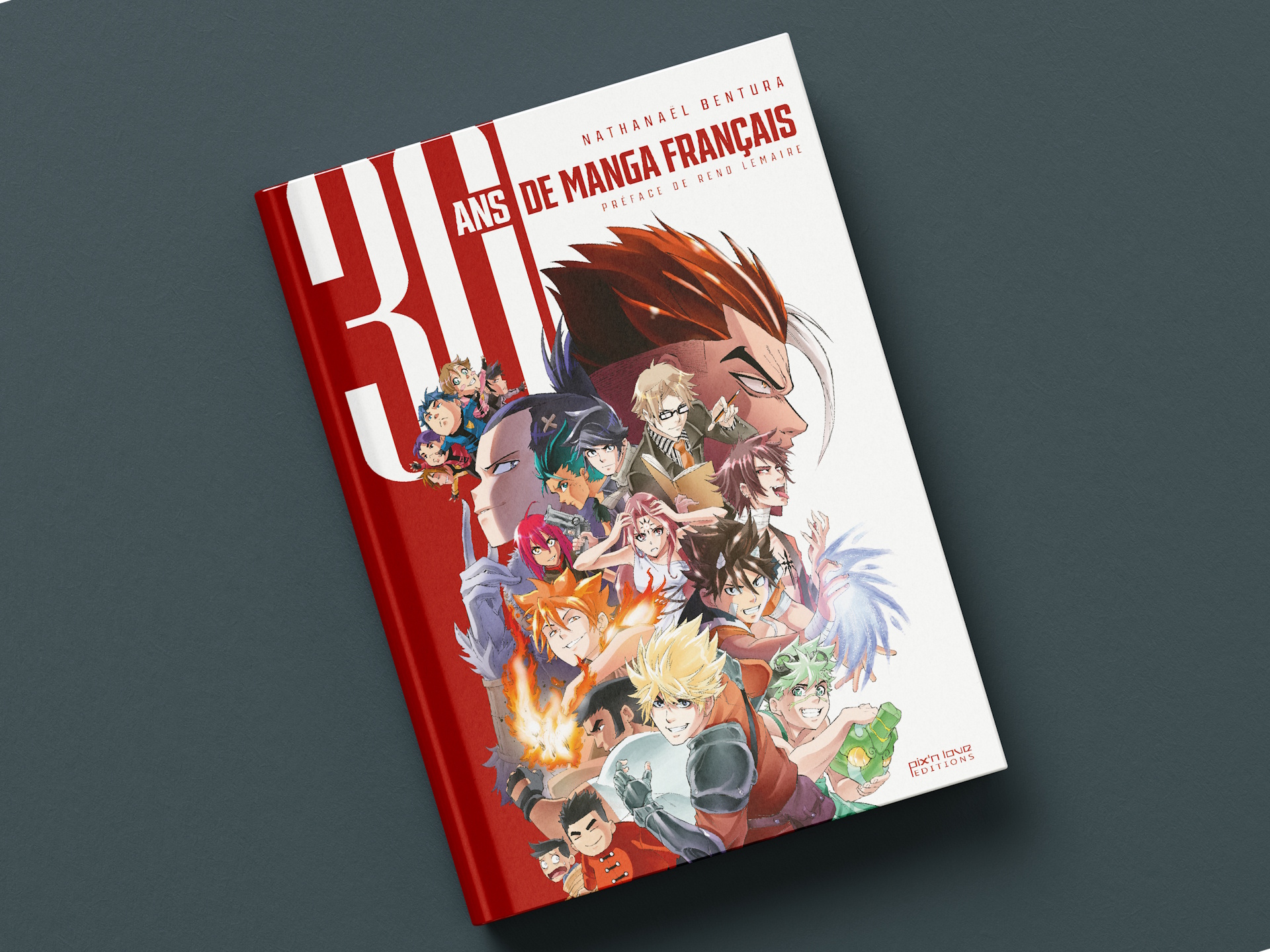 lecture 30 ans de manga pix n love article